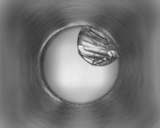 X0000067501116200604071016