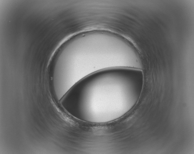 X0000067501118200604071016
