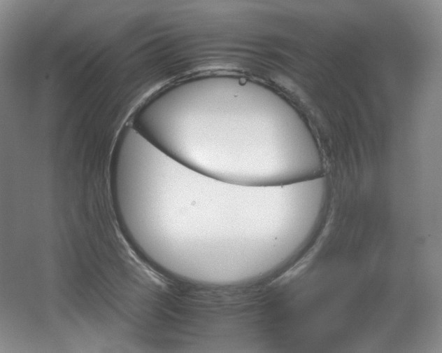X0000067501121200604071016