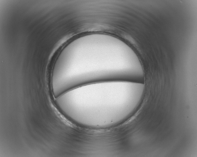 X0000067501122200604071016