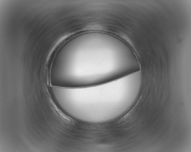 X0000067501123200604071016