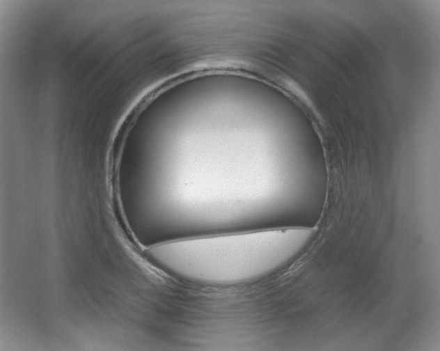 X0000067501124200604071016