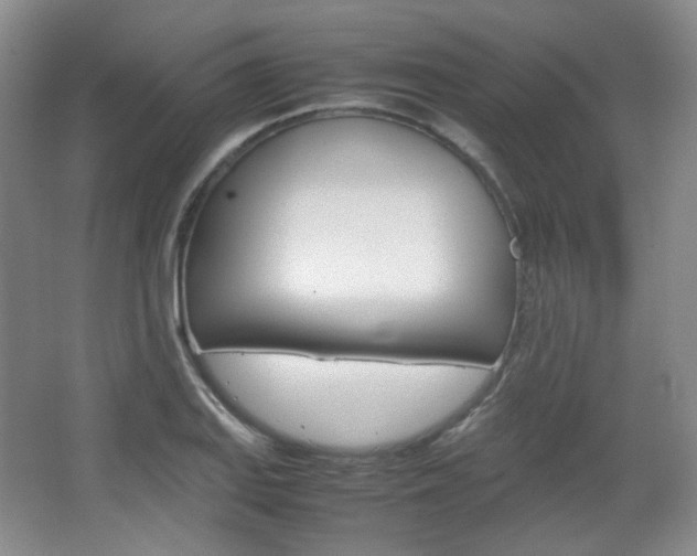 X0000067501127200604071016