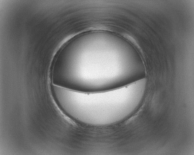 X0000067501133200604071016