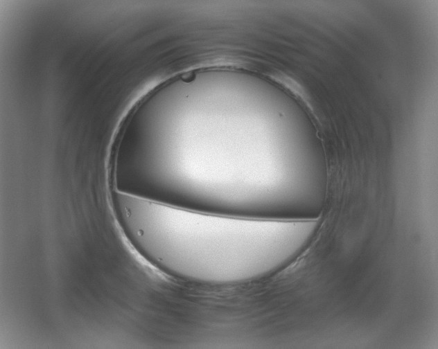 X0000067501135200604071016