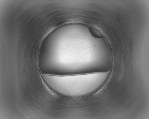 X0000067501137200604071016