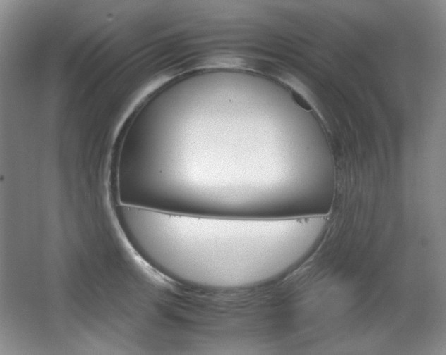 X0000067501139200604071016