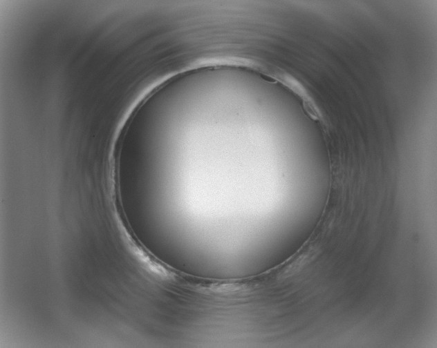 X0000067501140200604071016
