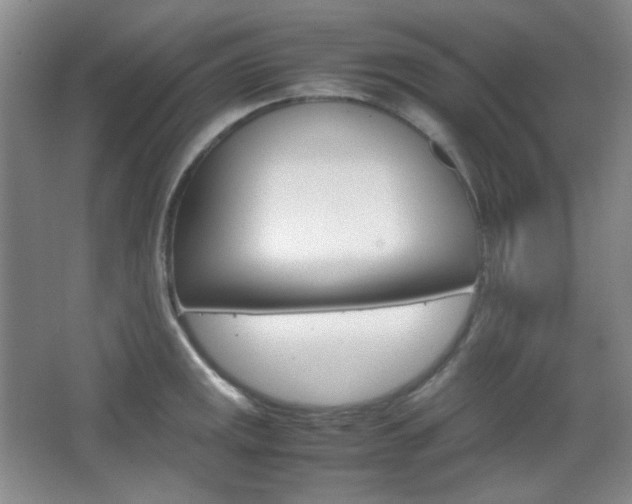 X0000067501141200604071016