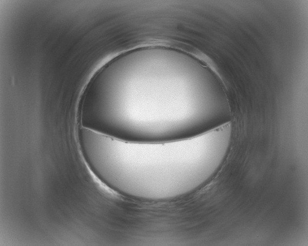 X0000067501143200604071016