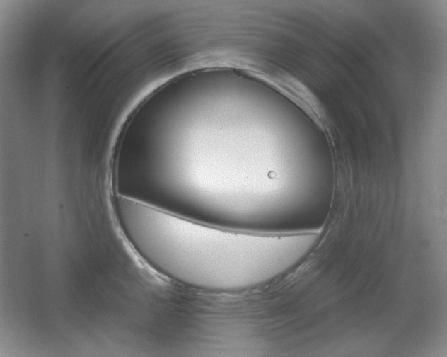 X0000067501144200604071016