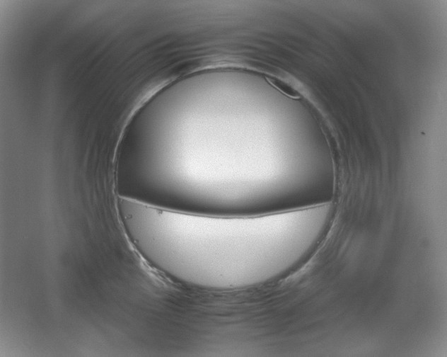 X0000067501145200604071016