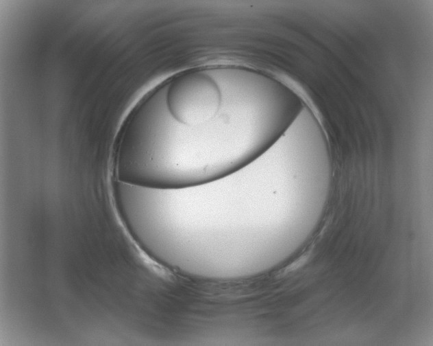 X0000067501149200604071016