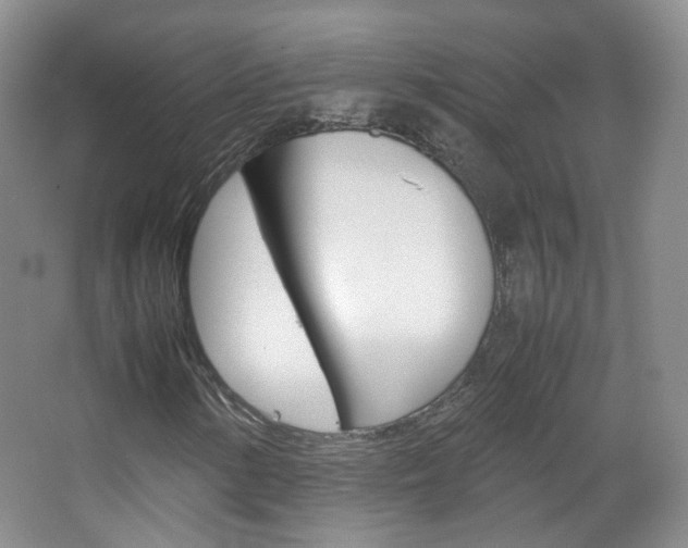 X0000067501154200604071016