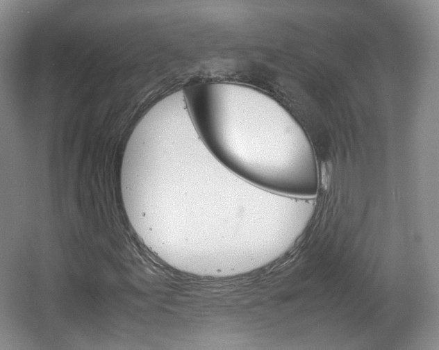X0000067501155200604071016