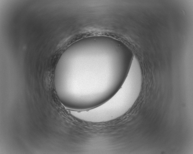 X0000067501157200604071016