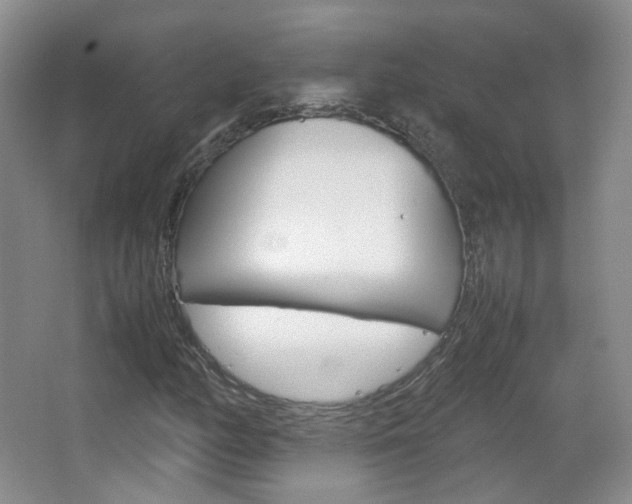 X0000067501158200604071016