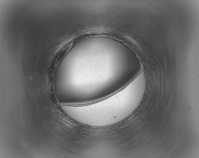 X0000067501160200604071016