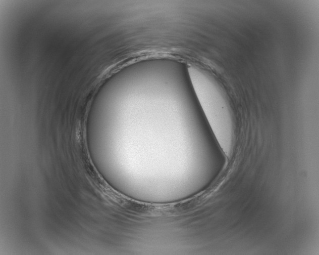 X0000067501161200604071016