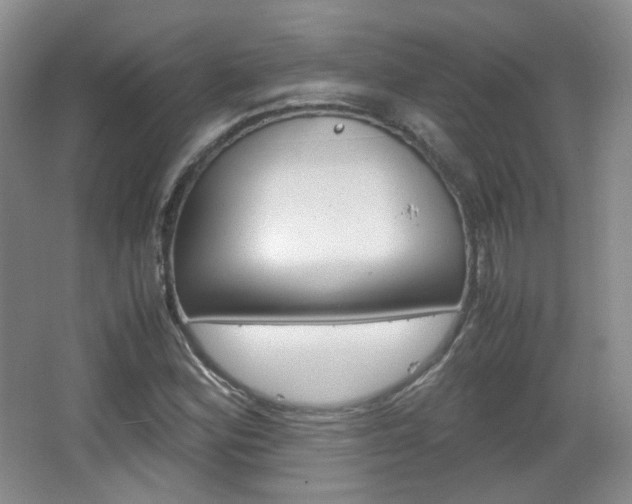 X0000067501164200604071015