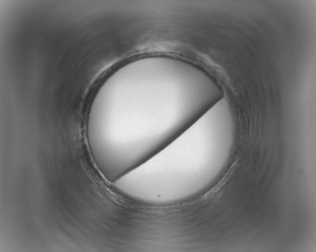 X0000067501166200604071015