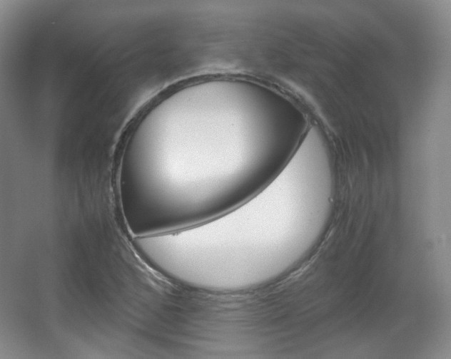 X0000067501168200604071015