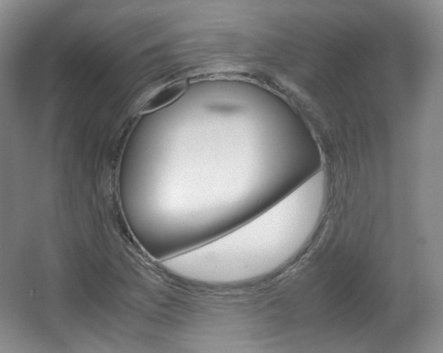 X0000067501169200604071015