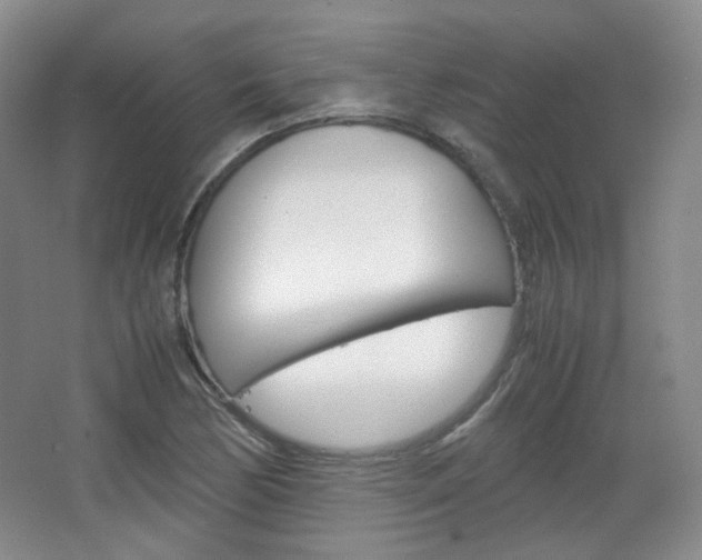 X0000067501170200604071015