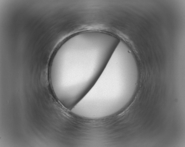 X0000067501174200604071015