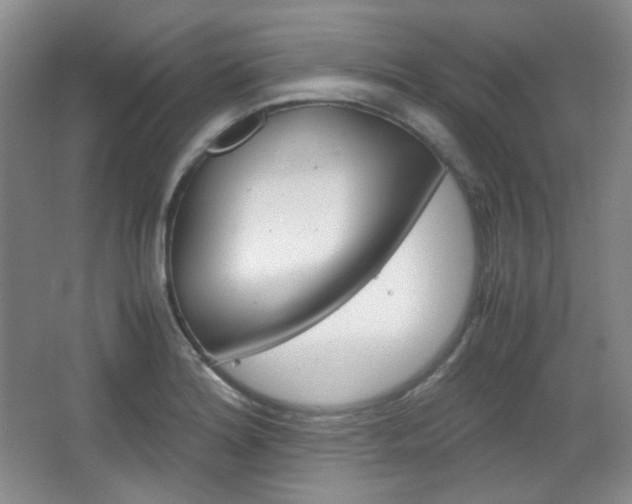 X0000067501180200604071015