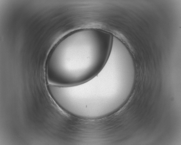 X0000067501184200604071015