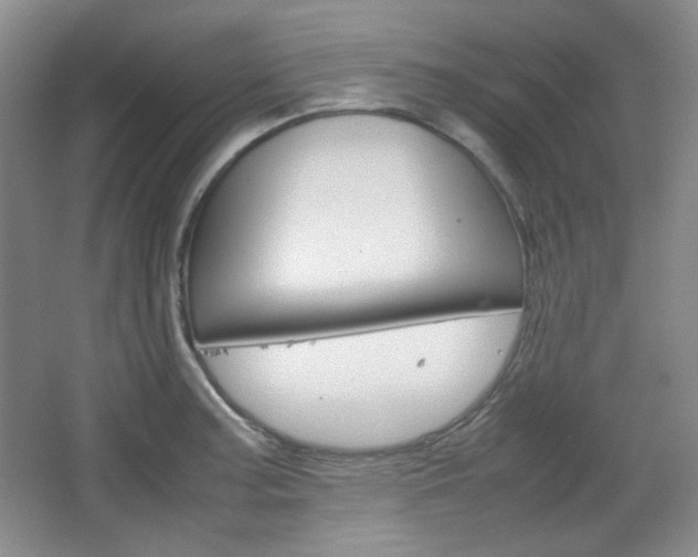 X0000067501187200604071015