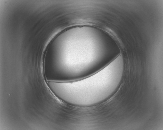 X0000067501188200604071015