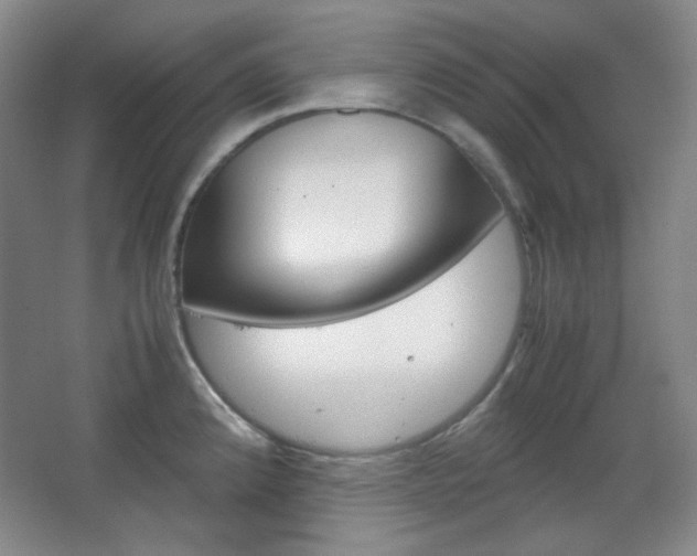 X0000067501192200604071015