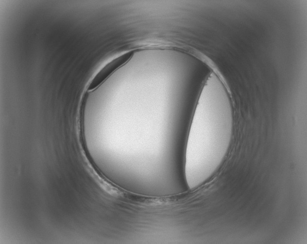 X0000067501195200604071015