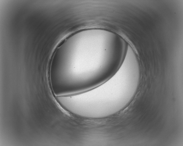 X0000067501197200604071015