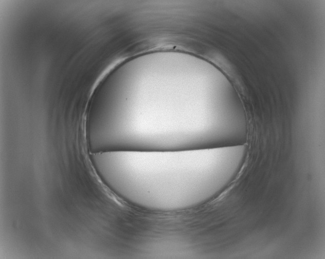 X0000067501198200604071015