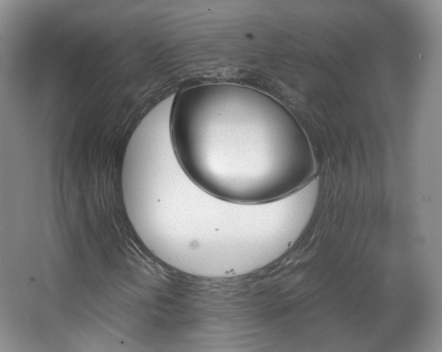 X0000067501202200604071014