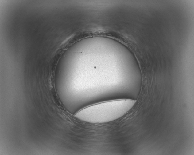 X0000067501205200604071014