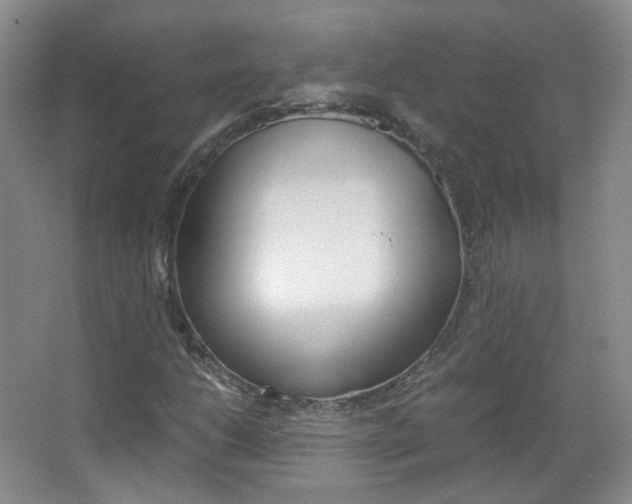 X0000067501206200604071014