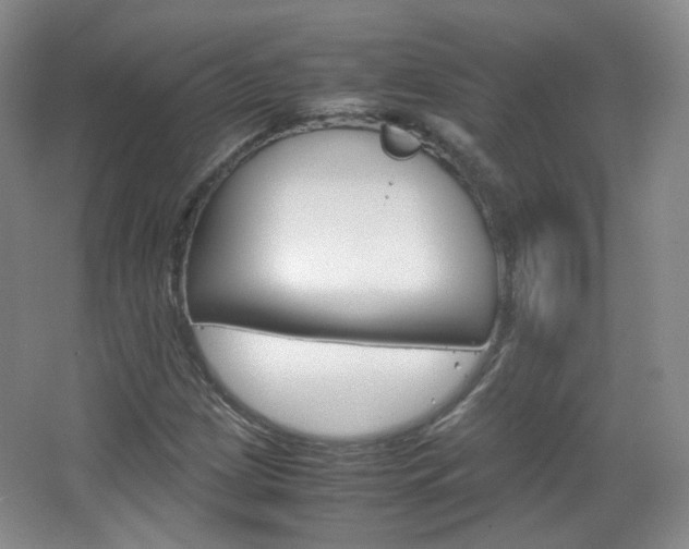 X0000067501209200604071014
