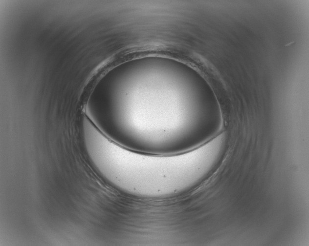 X0000067501210200604071014