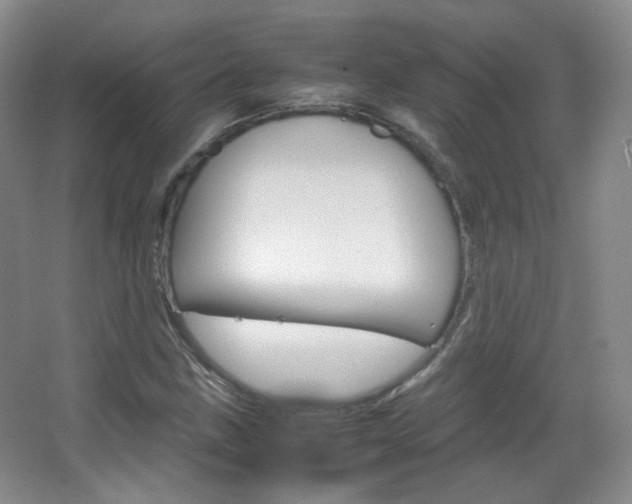 X0000067501211200604071014