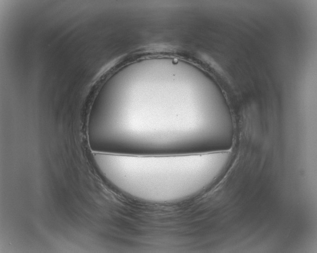 X0000067501213200604071014