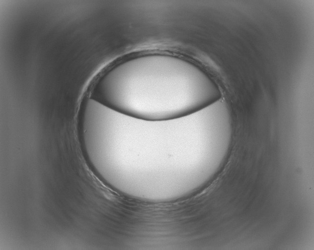 X0000067501216200604071014