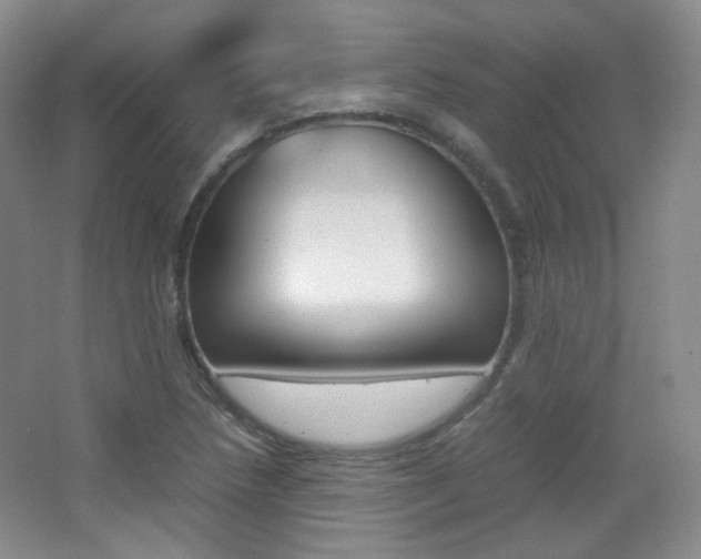 X0000067501218200604071014