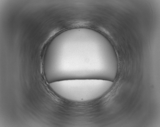 X0000067501219200604071014