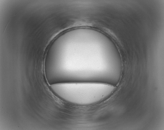 X0000067501220200604071014