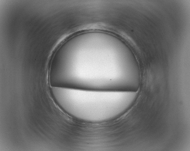 X0000067501224200604071014