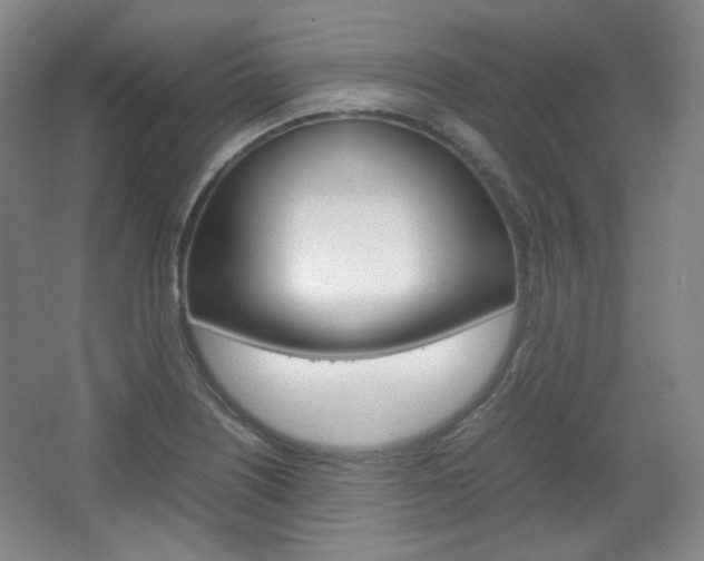 X0000067501226200604071014